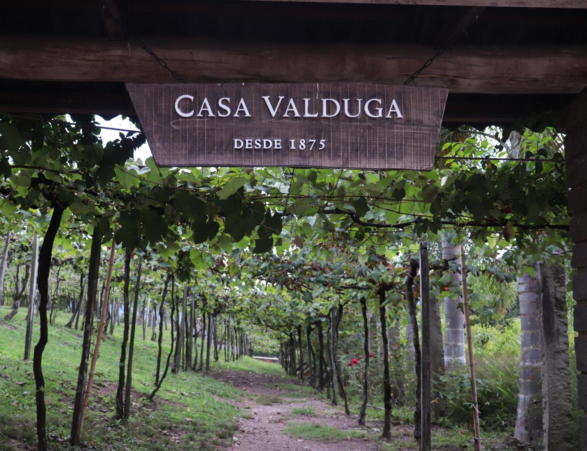 Casa Valduga Pousada Boutique Bento Gonçalves Eksteriør billede